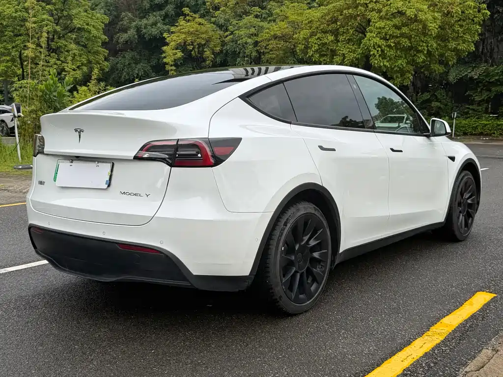 Tesla Model Y — фото 6
