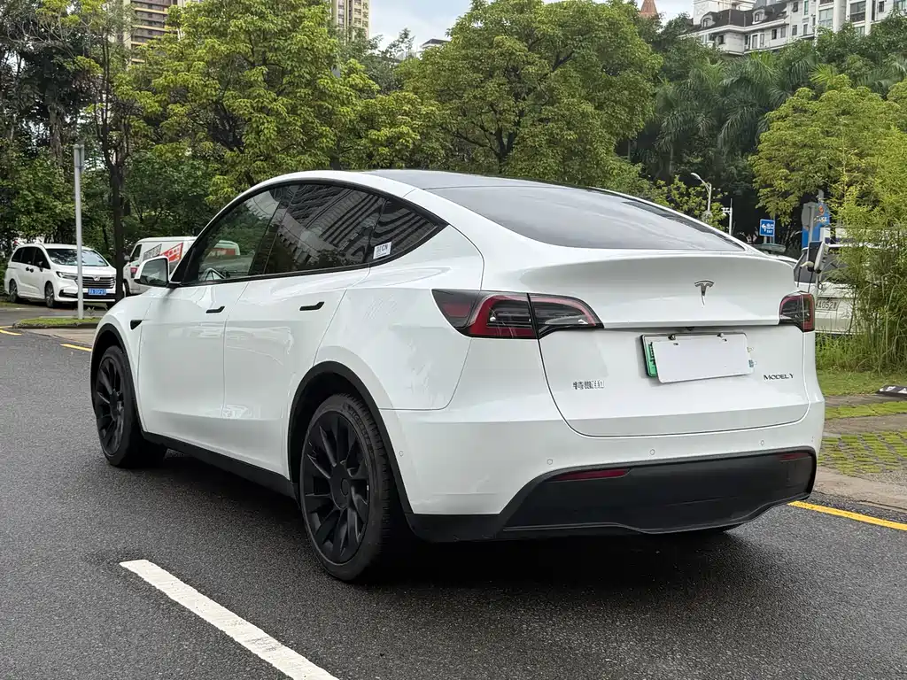 Tesla Model Y — фото 8