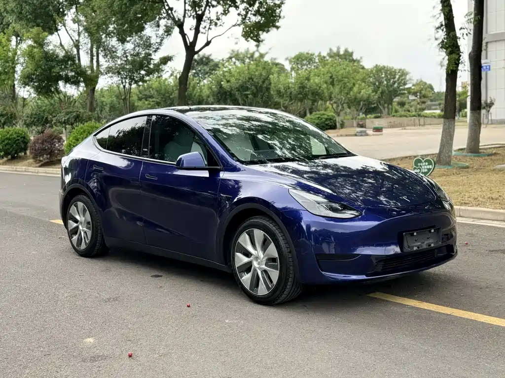 Tesla Model Y — фото 2