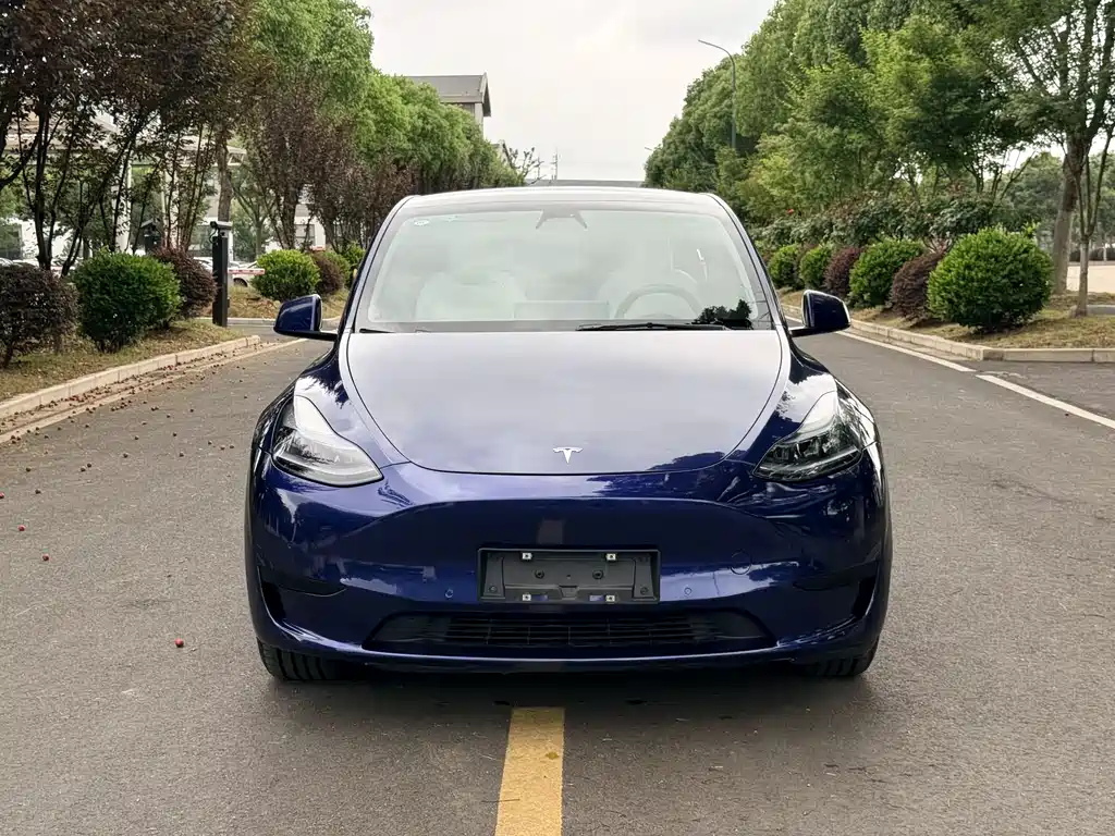 Tesla Model Y — фото 3