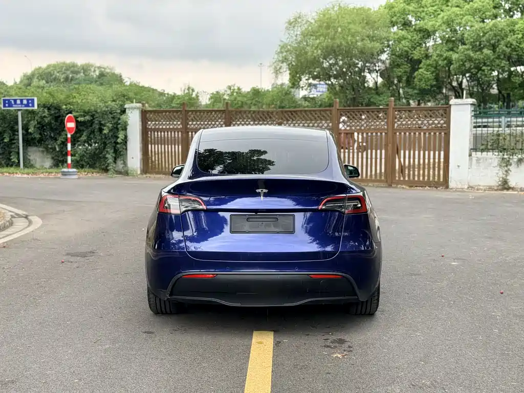 Tesla Model Y — фото 5