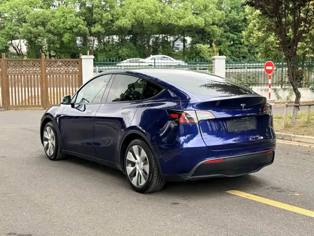 Tesla Model Y — фото 6