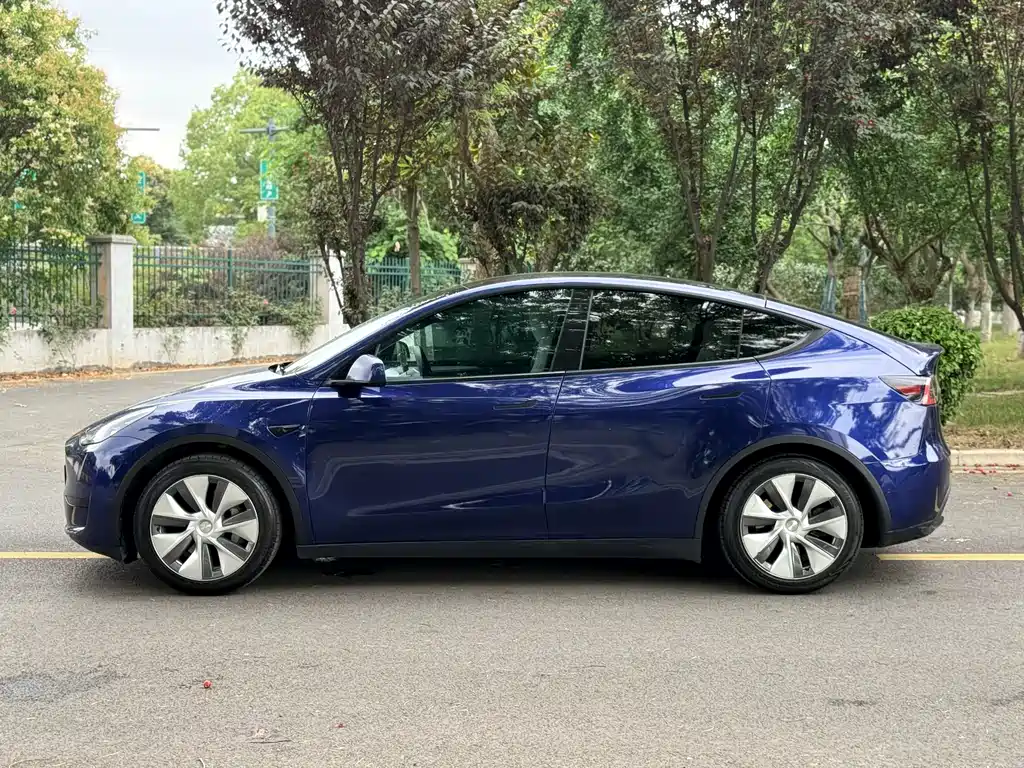 Tesla Model Y — фото 7