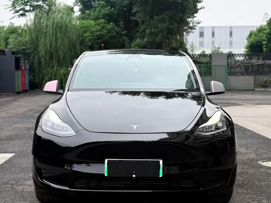 Tesla Model Y — фото 5