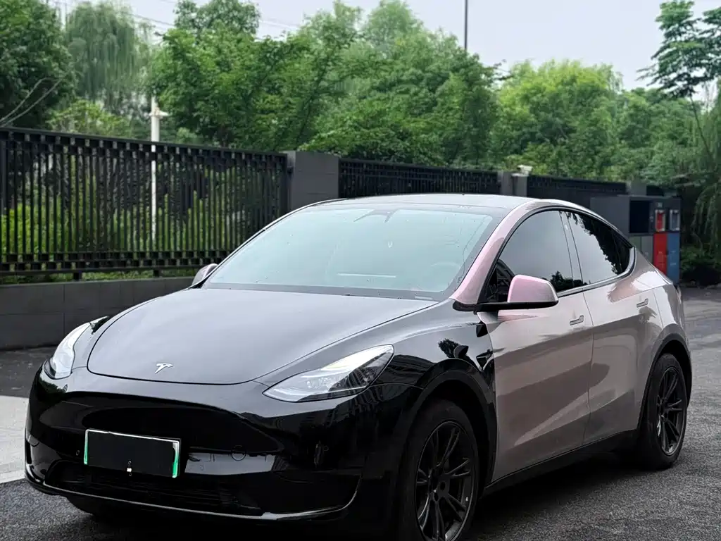Tesla Model Y — фото 6