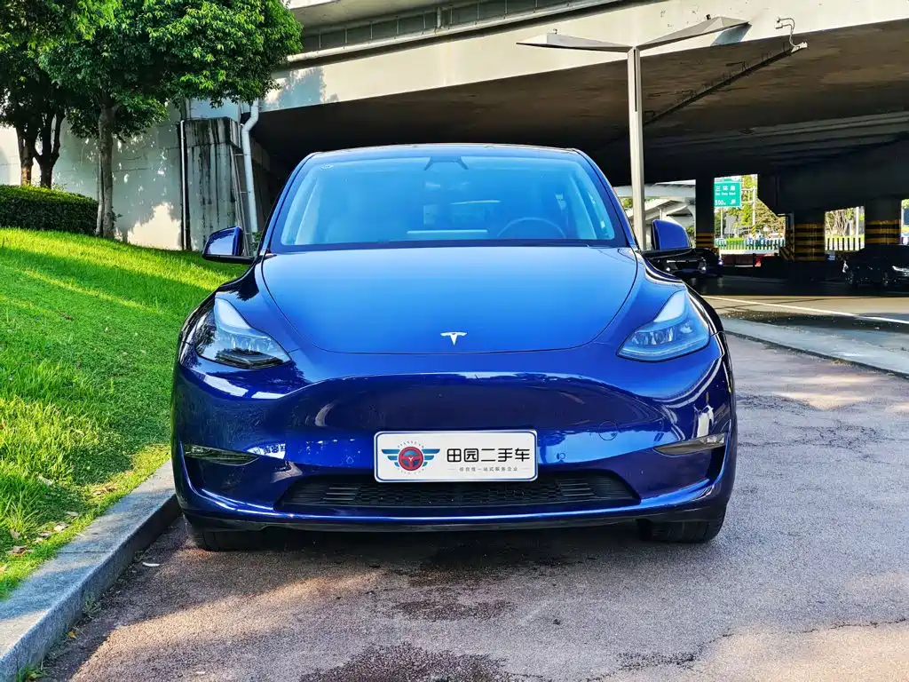 Tesla Model Y — фото 2