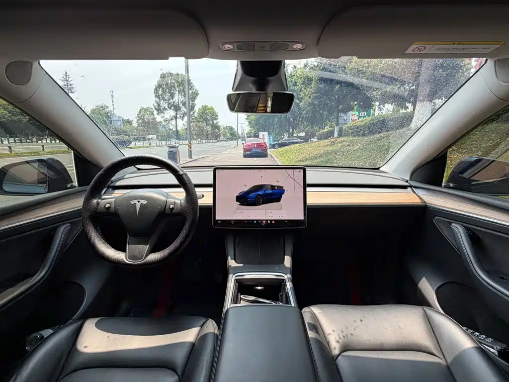 Tesla Model Y — фото 13