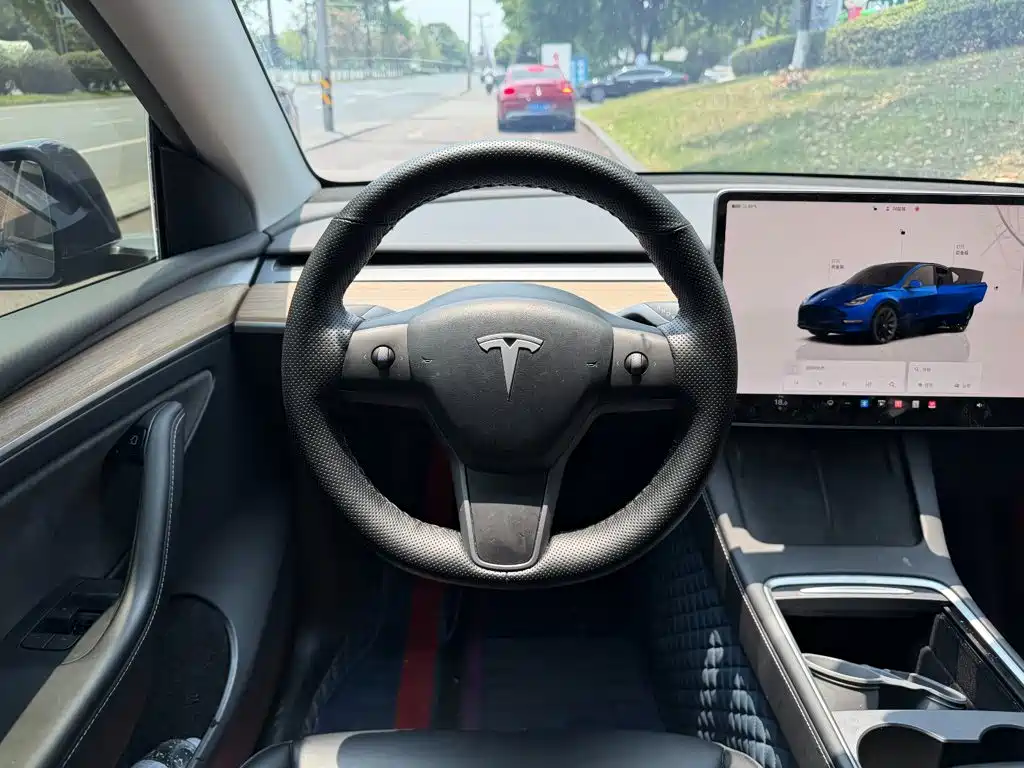 Tesla Model Y — фото 14