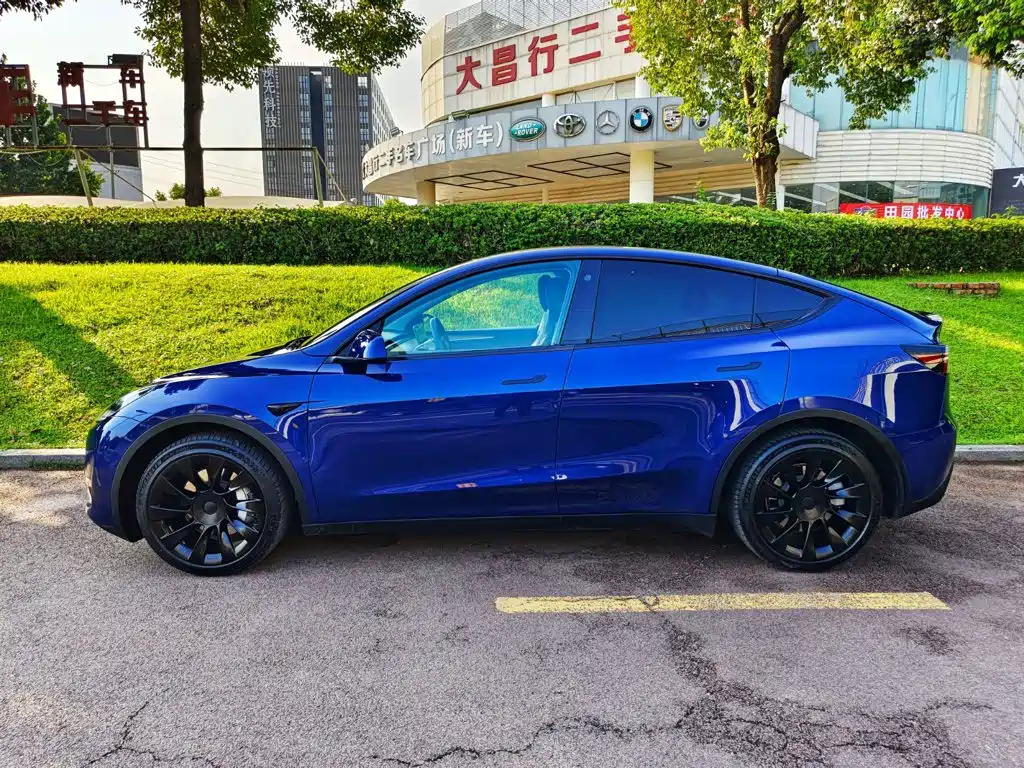 Tesla Model Y — фото 3