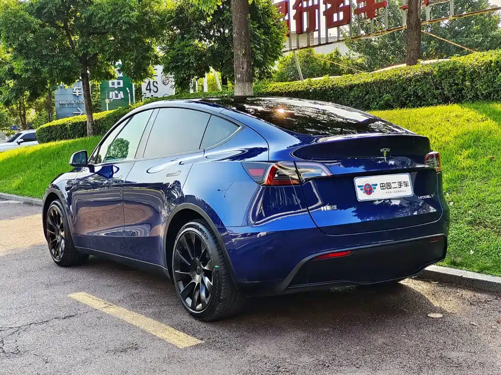 Tesla Model Y — фото 4