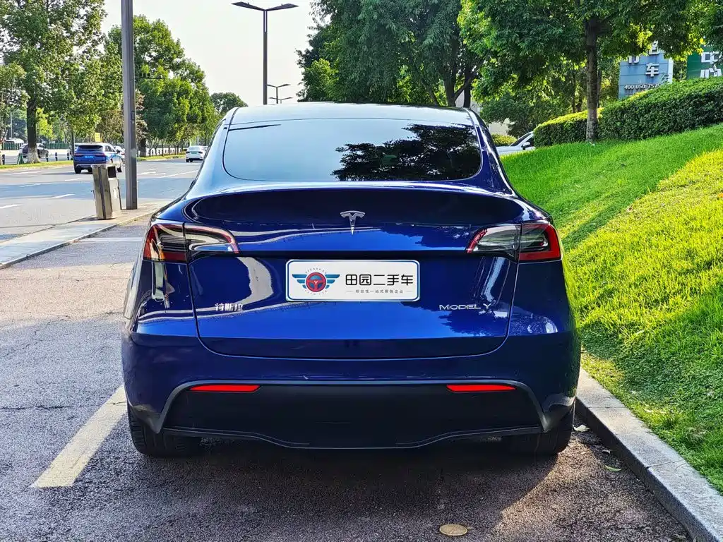 Tesla Model Y — фото 5