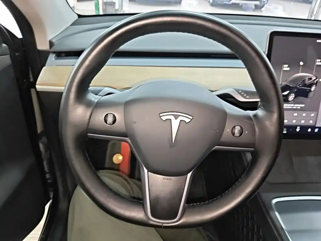 Tesla Model Y — фото 11