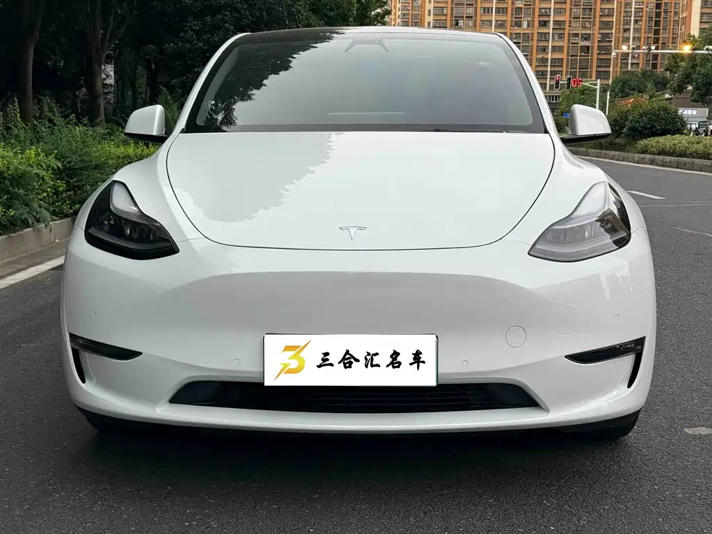 Tesla Model Y — фото 2