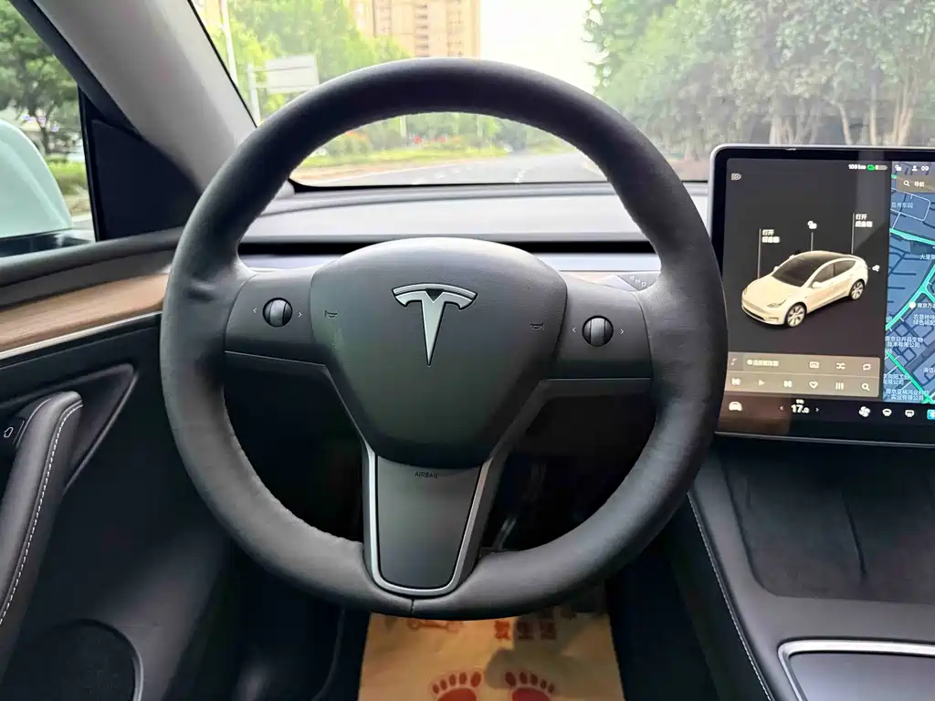 Tesla Model Y — фото 14