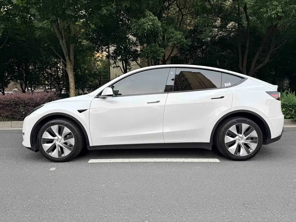 Tesla Model Y — фото 5