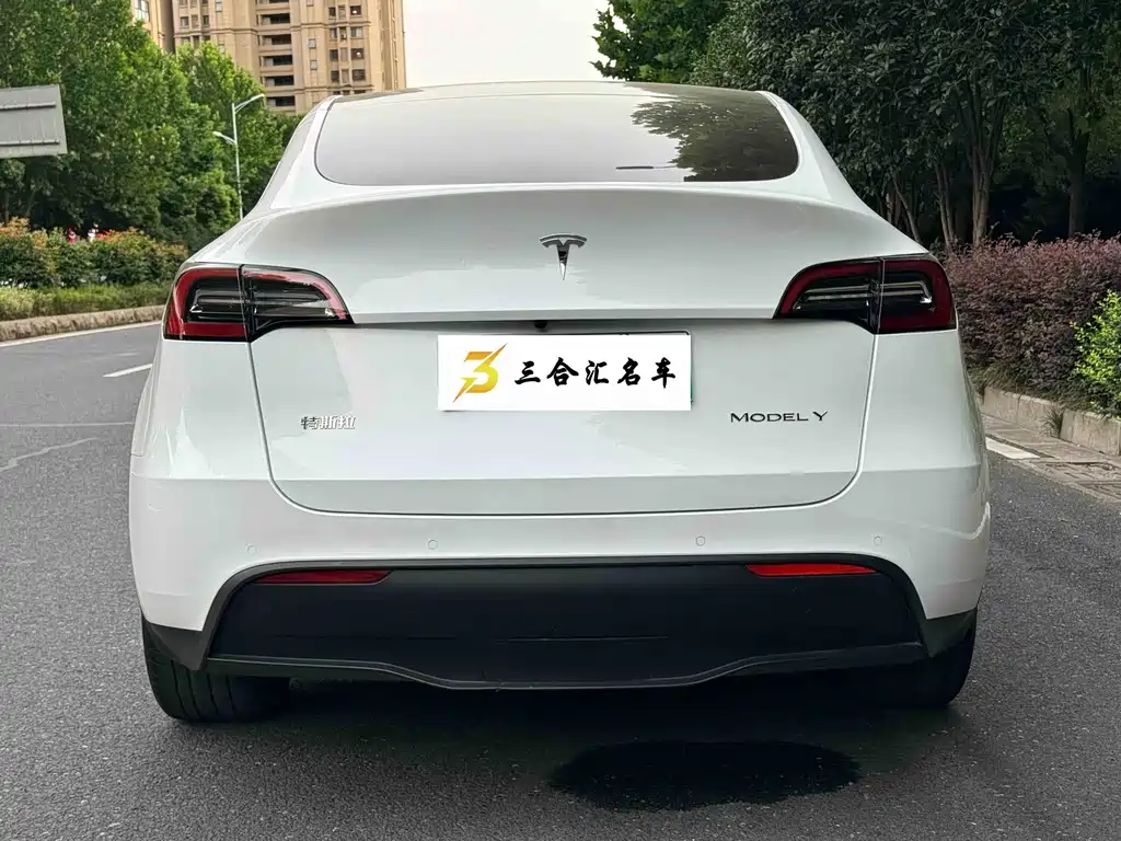 Tesla Model Y — фото 9