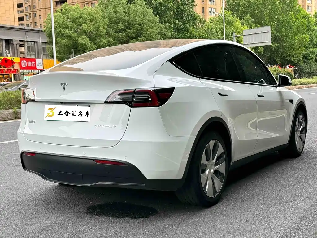 Tesla Model Y — фото 10