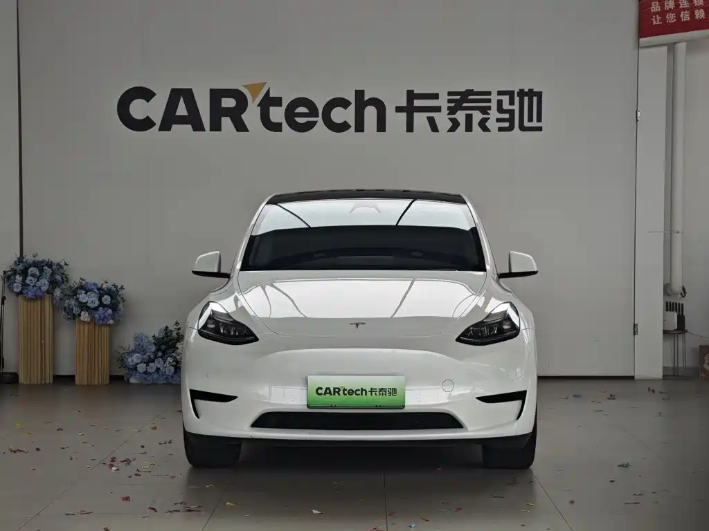Tesla Model Y — фото 2