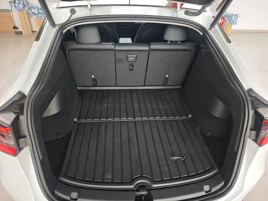 Tesla Model Y — фото 15