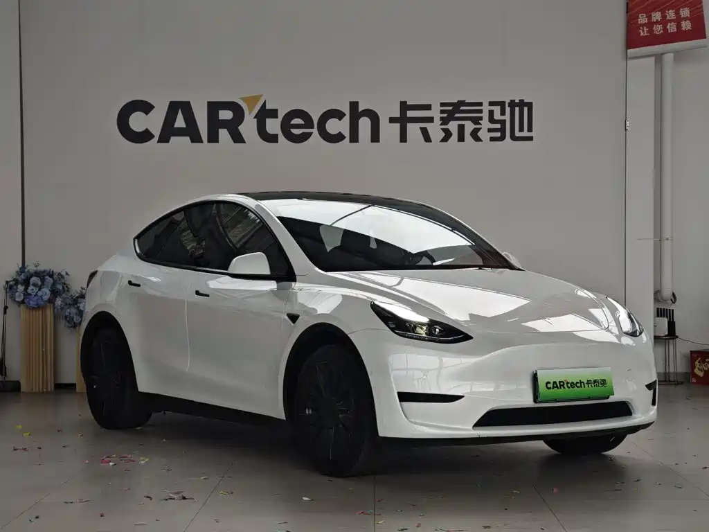 Tesla Model Y — фото 3