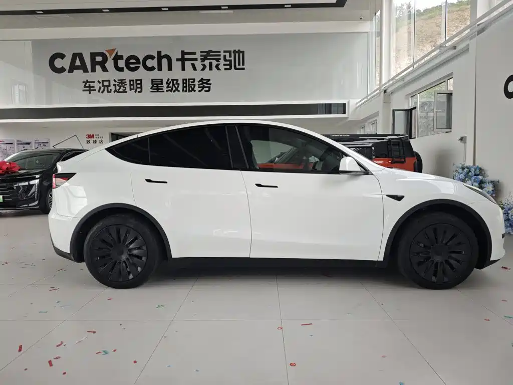 Tesla Model Y — фото 9