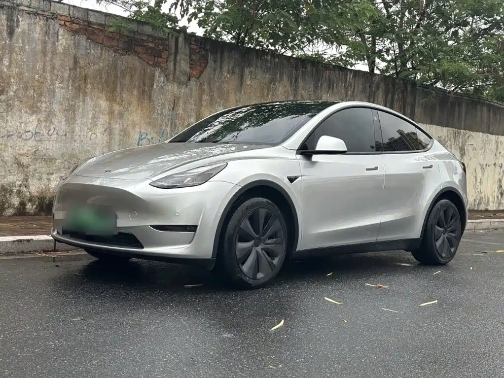Tesla Model Y — фото 2