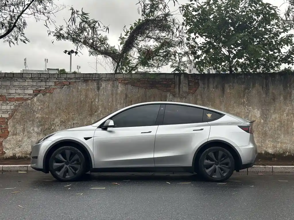 Tesla Model Y — фото 13