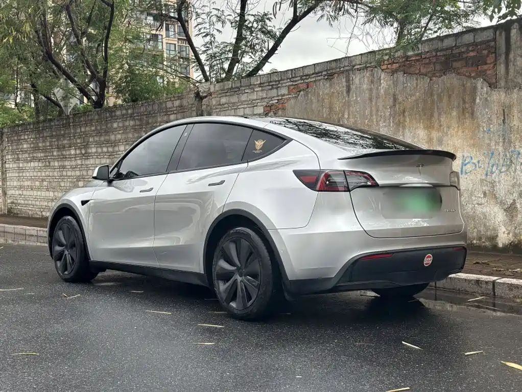 Tesla Model Y — фото 15