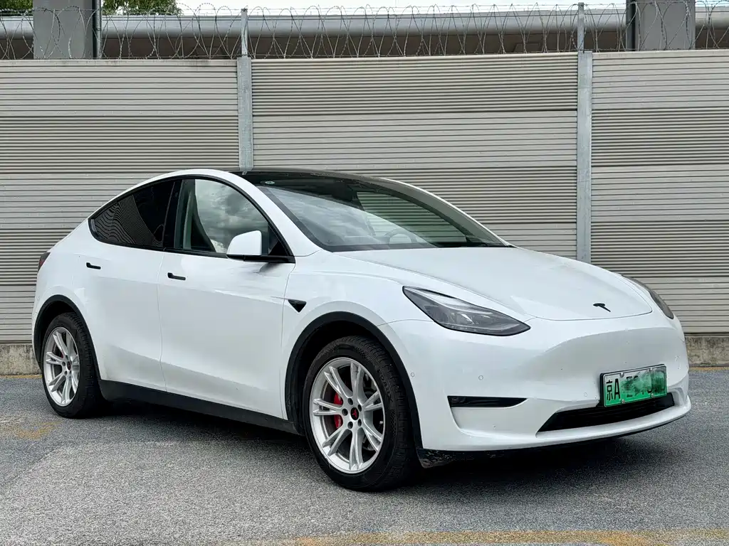 Tesla Model Y — фото 3