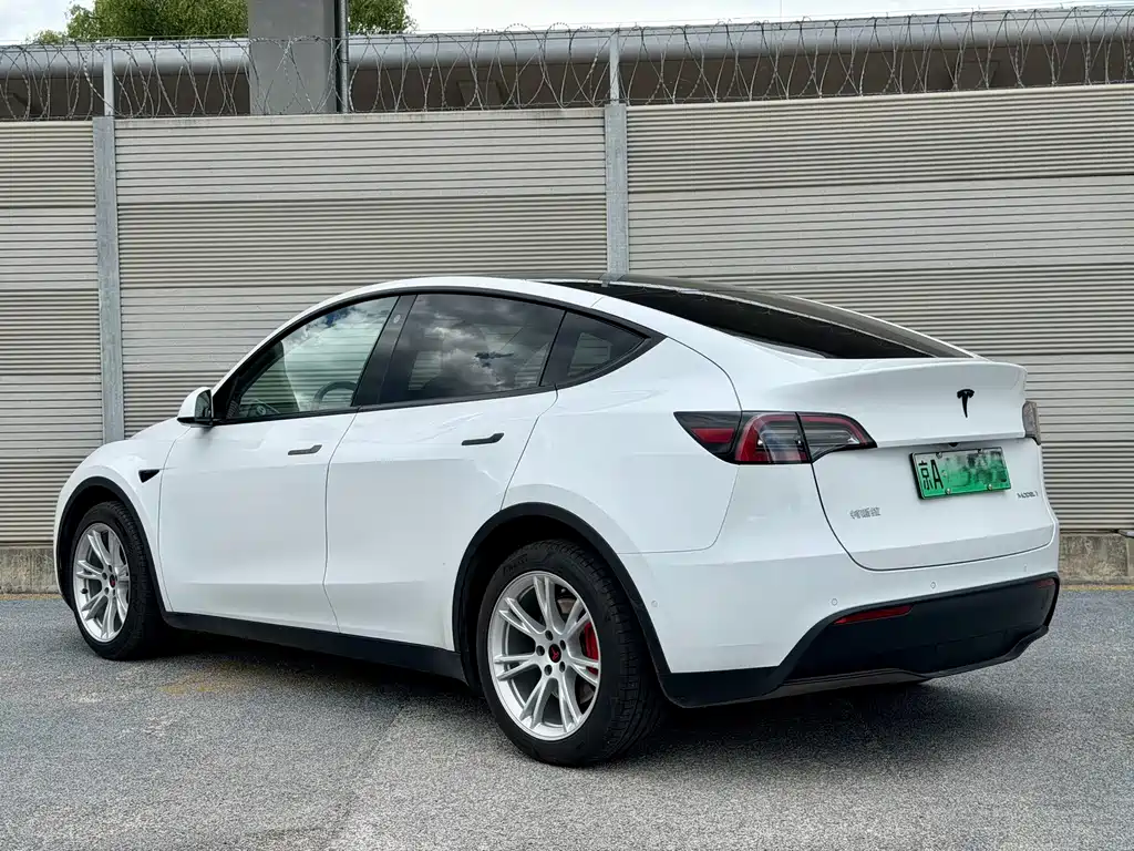 Tesla Model Y — фото 4