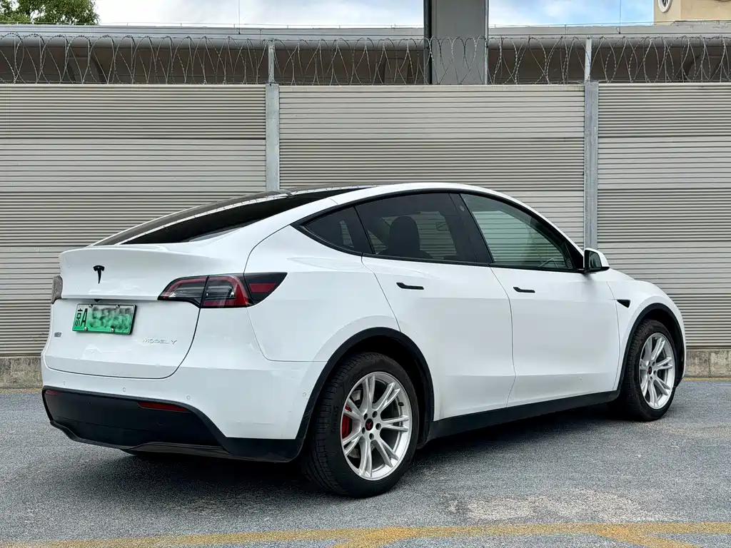 Tesla Model Y — фото 6