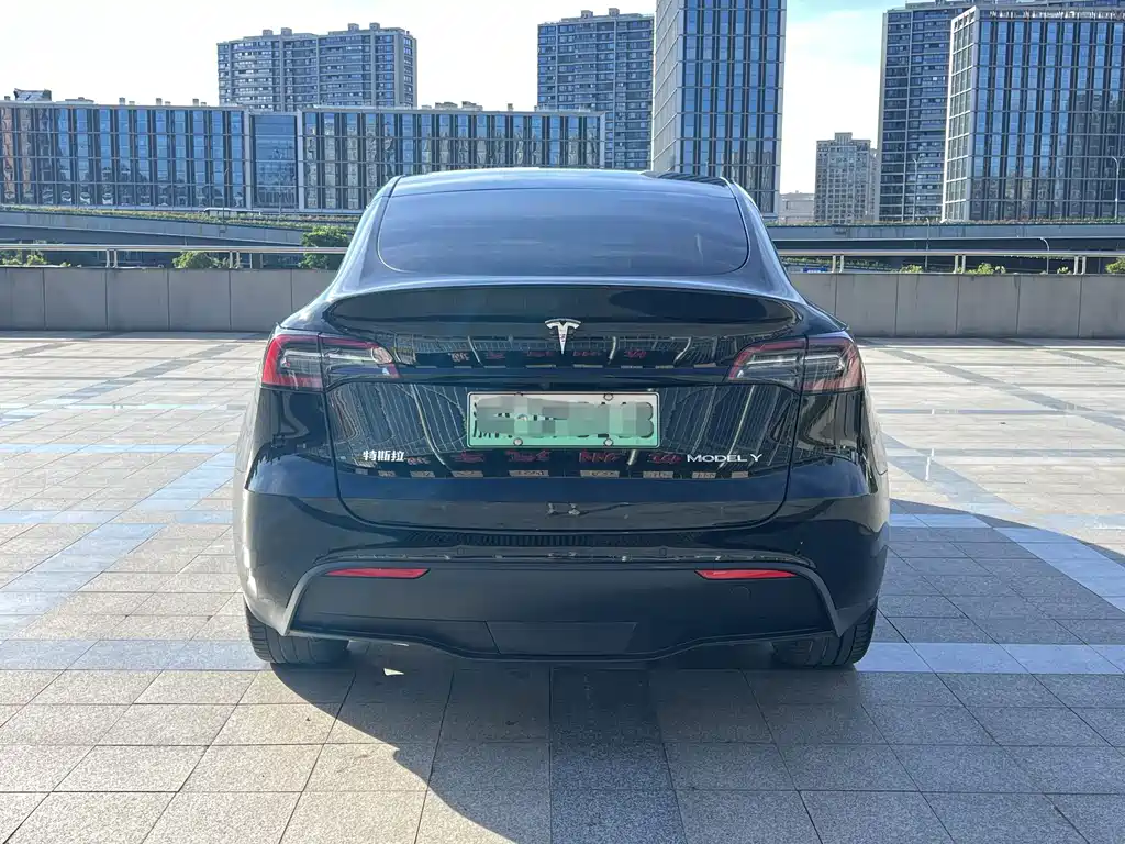 Tesla Model Y — фото 3