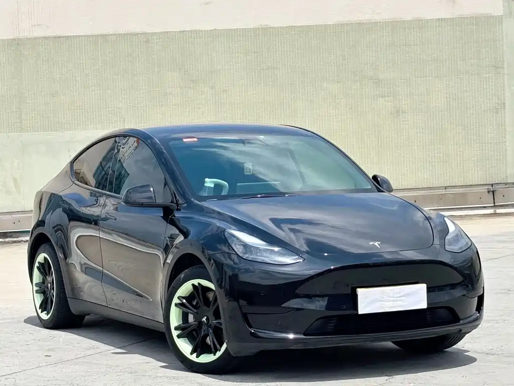 Tesla Model Y — фото 3