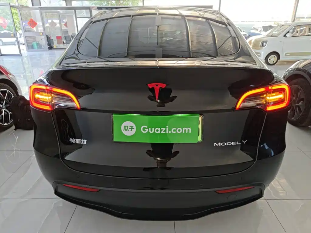 Tesla Model Y — фото 6