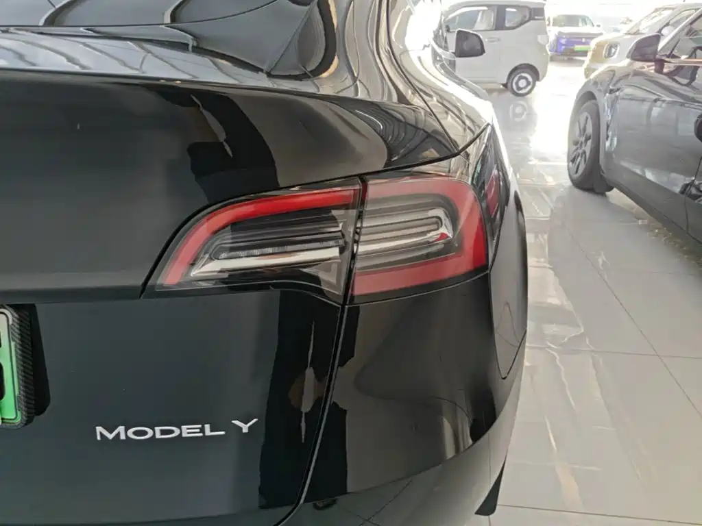 Tesla Model Y — фото 8