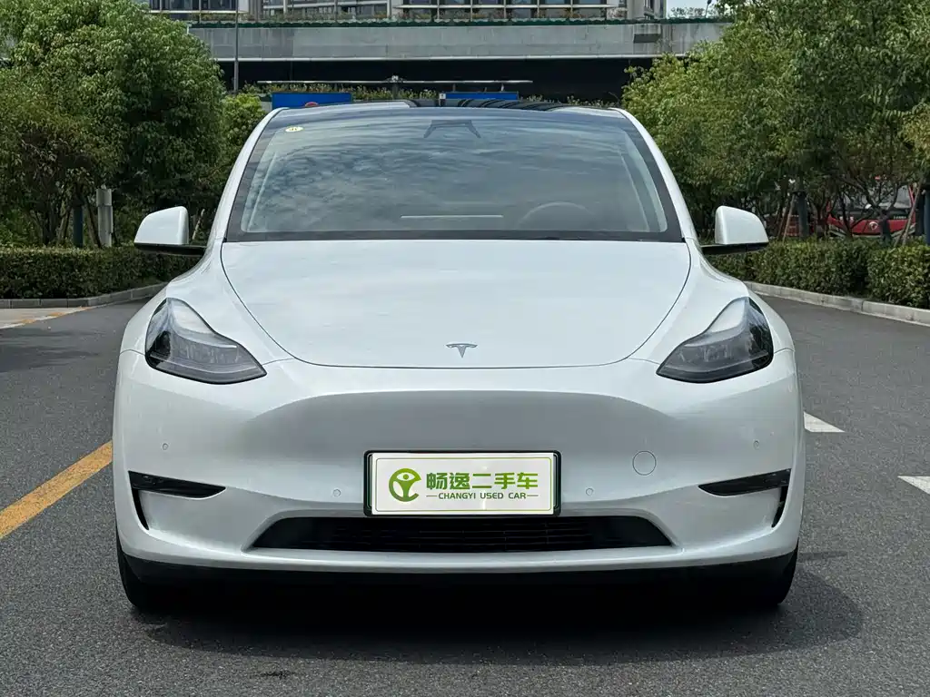 Tesla Model Y — фото 2