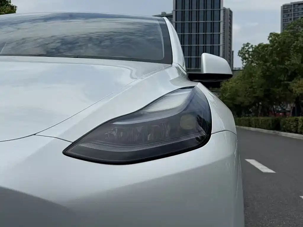 Tesla Model Y — фото 19