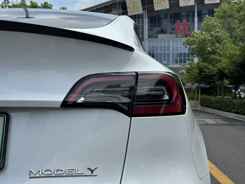 Tesla Model Y — фото 20