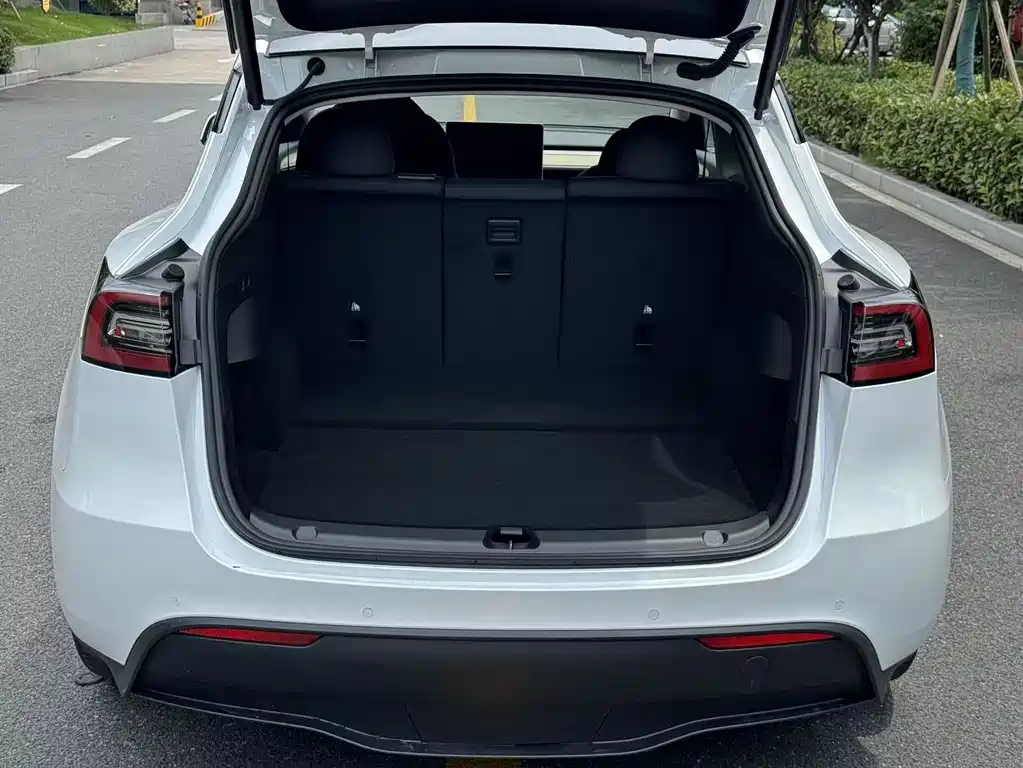 Tesla Model Y — фото 22
