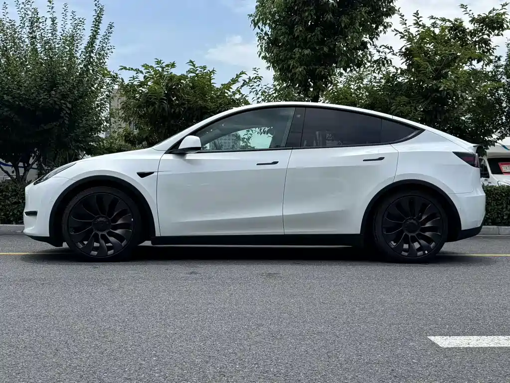 Tesla Model Y — фото 7