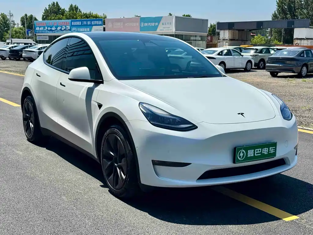 Tesla Model Y — фото 2