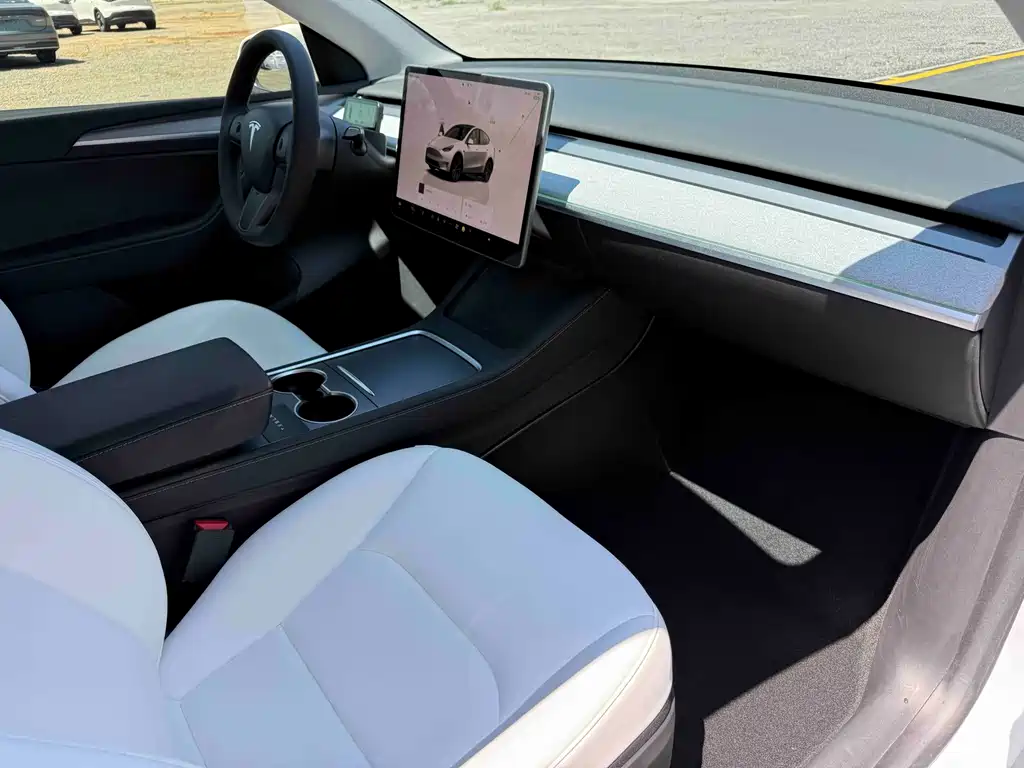 Tesla Model Y — фото 11