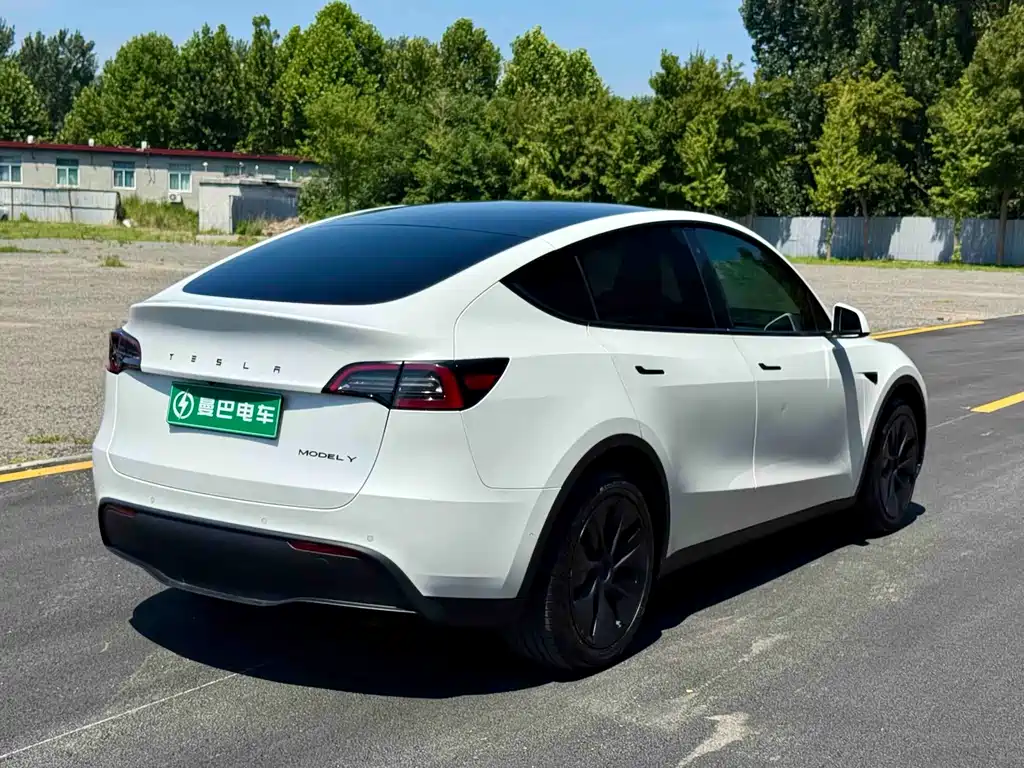 Tesla Model Y — фото 7