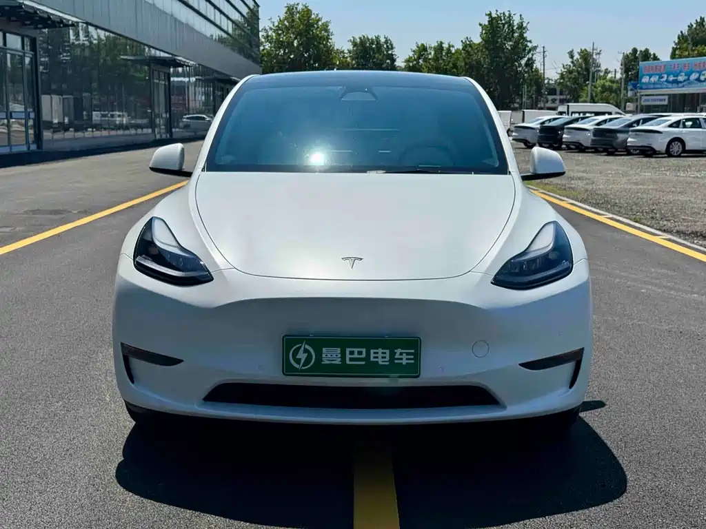 Tesla Model Y — фото 8