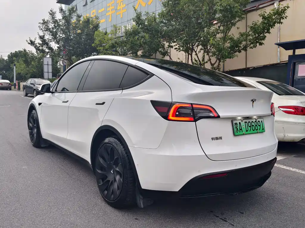 Tesla Model Y — фото 2