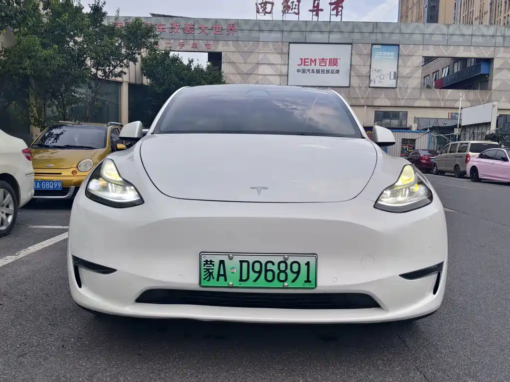 Tesla Model Y — фото 3