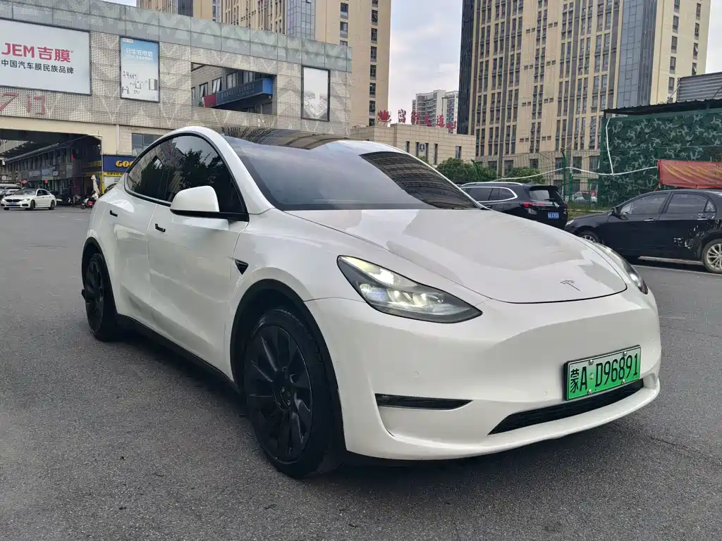 Tesla Model Y — фото 4