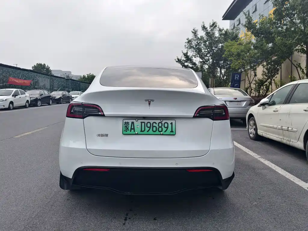 Tesla Model Y — фото 5