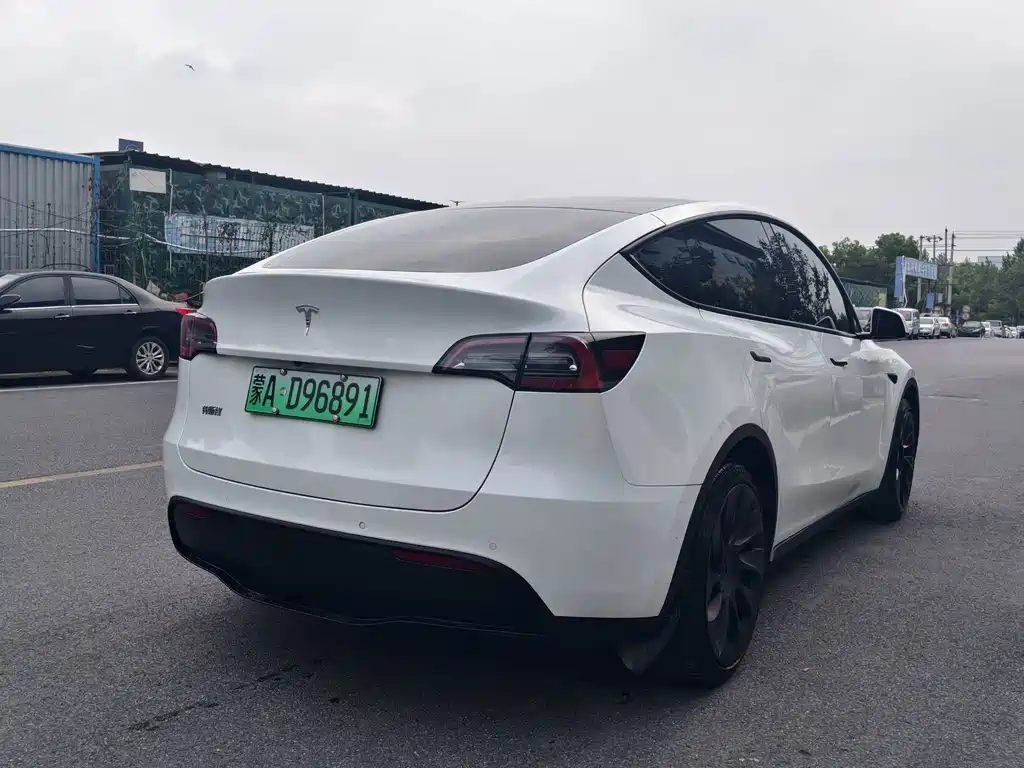 Tesla Model Y — фото 6