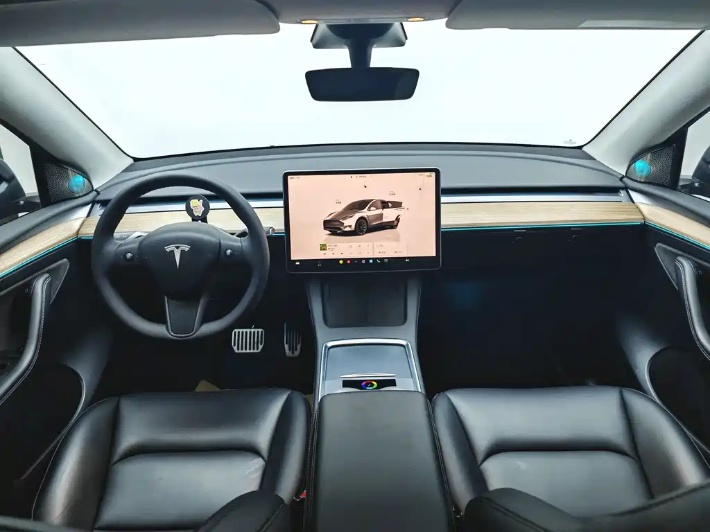 Tesla Model Y — фото 8